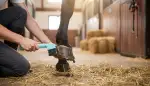 Gesunde Hufe: Der Hufkratzer als Muss