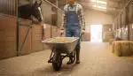 Langlebigkeit im Stall: Verzinkte Schubkarren