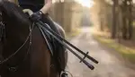 Reitzügel Arten: Kommunikation am Pferd