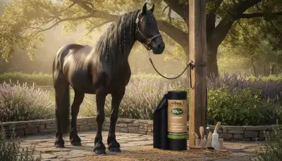 Fellglanzspray: Geheimnis schimmernder Pferde